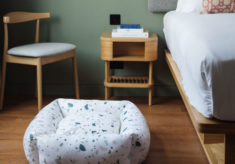 Dog friendly room with dog bed