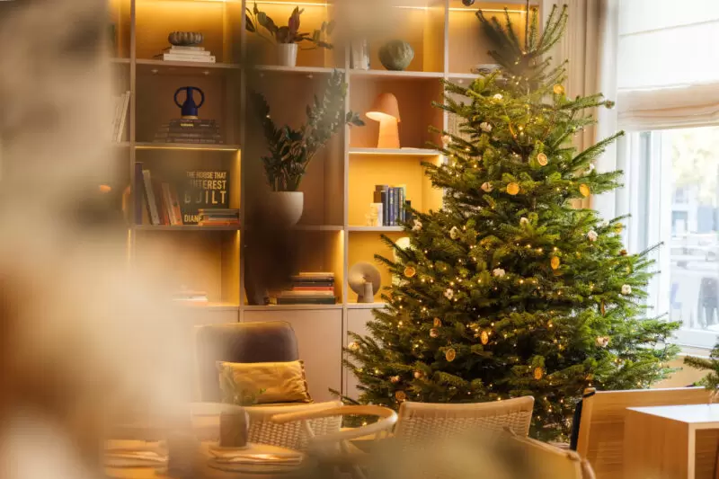 Inhabit_IMG_7935-HDR – website