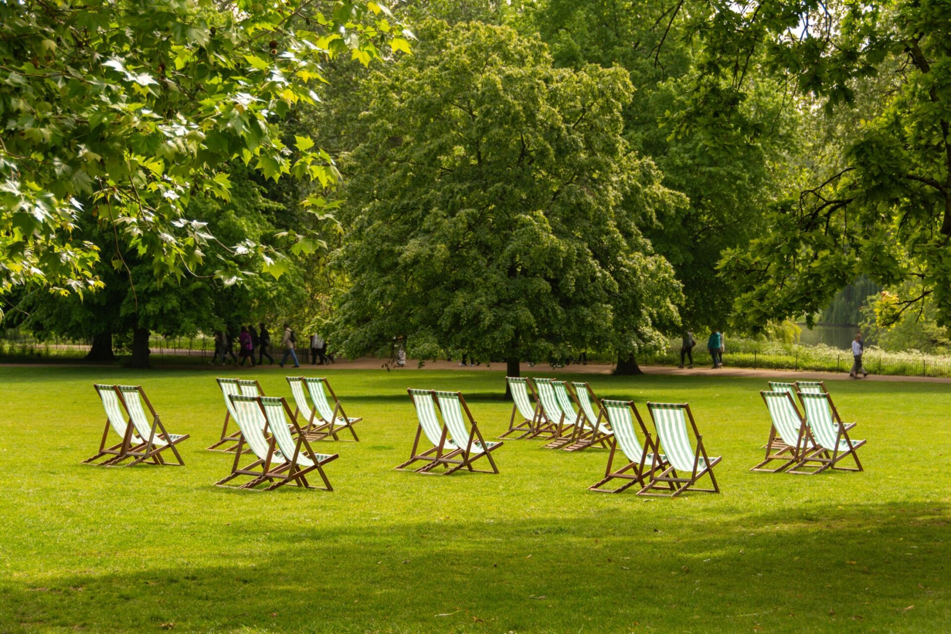 Green deck chairs on a lush park lawn during a sunny day, surrounded by trees and nature